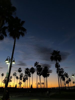 Photo of Venice Beach Psychic, santa monica, USA